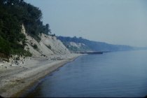 View north along the beach